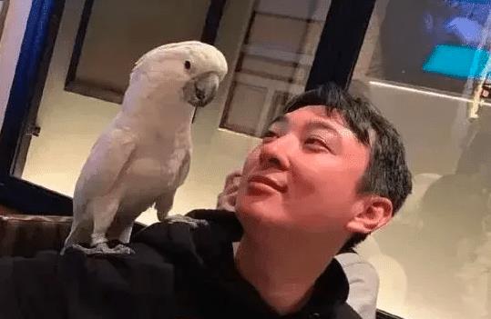 从学渣到学霸的逆袭之路，最新舔狗梗解析