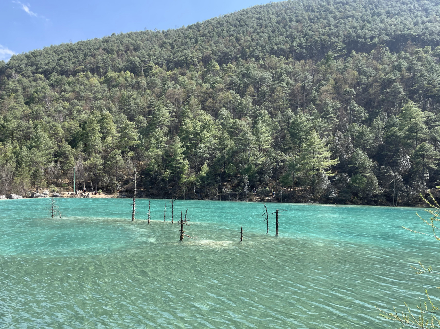 蓝月谷最新探险之旅，一段温馨有趣的冒险之旅