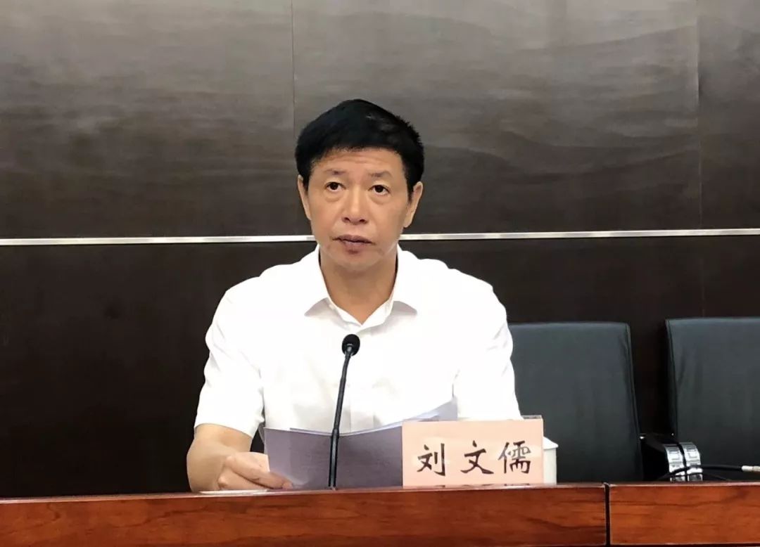 刘文儒，辉煌成就揭秘与未来展望的最新新闻