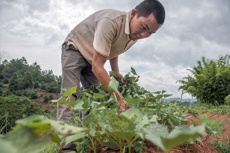 北京疫情大数据最新动态，时代印记与城市的坚守