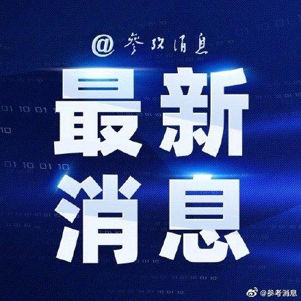 美国疫情死亡人数最新消息，背后的温馨日常故事与严峻现实对照