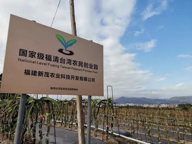 闽台通最新动态，最新消息汇总📢🎉