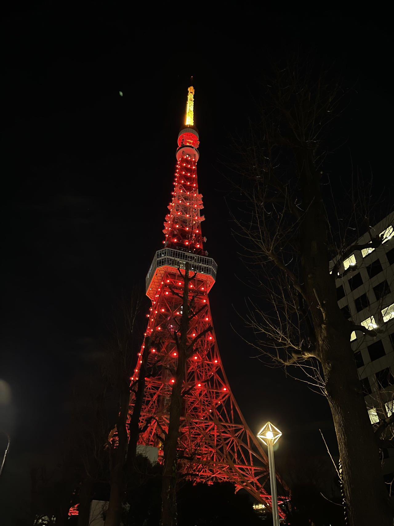名古屋电视塔，知识之巅，成就与自信的闪耀之光