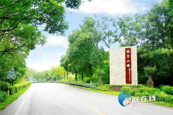 宁乡市最新住宅项目,宁乡市最新住宅项目的多维度探析