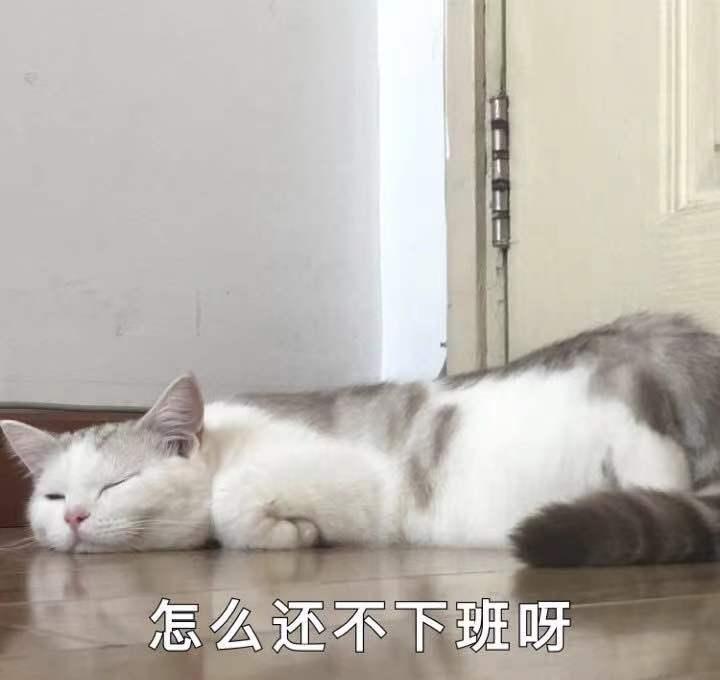 九院激光点痣价格,九院激光点痣价格，深入分析与个人立场