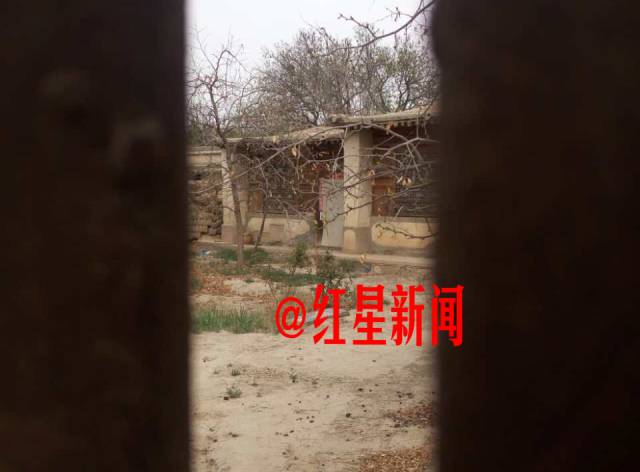 白银系列杀人案最新进展，爱与陪伴的温馨故事中的白银日常