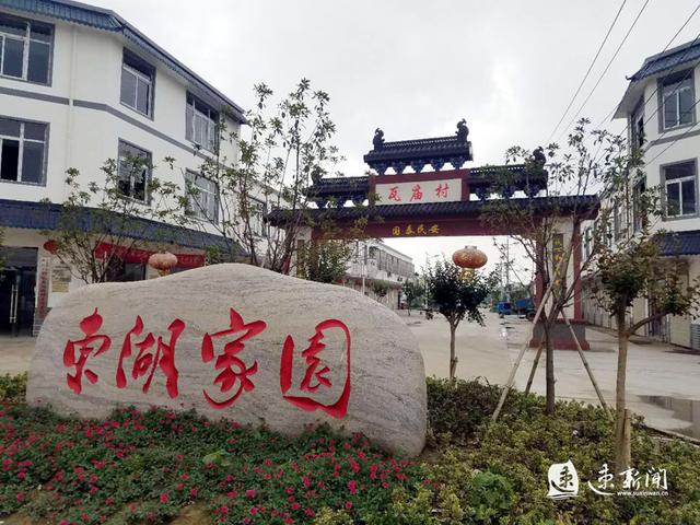 泗洪曹庙车祸事件，深度解析及最新进展报告