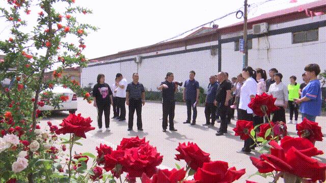 武安宅基地出售最新信息及步骤指南