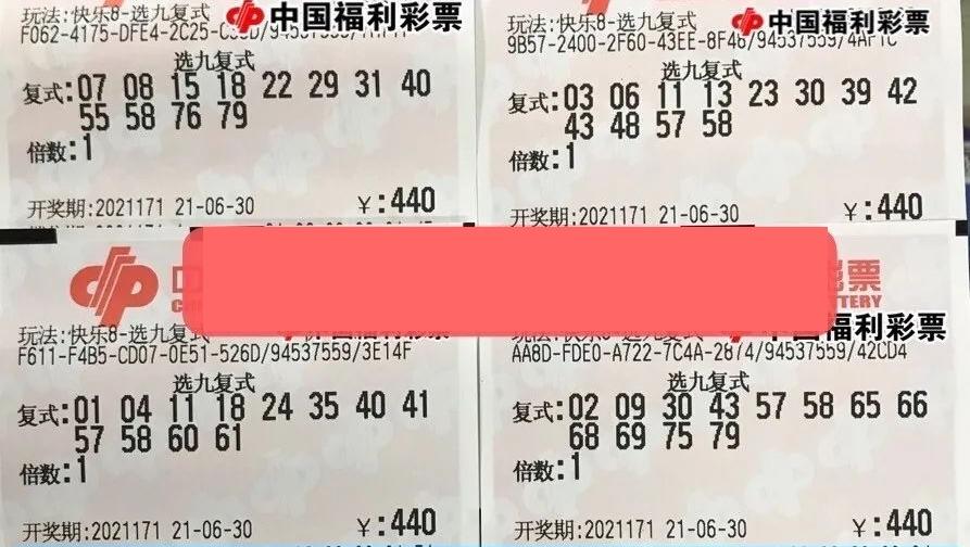 最新彩民乐阳光探马图，学习之旅中的变化与成就之源
